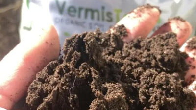 Why We Fertilize Our Planted Wall Vertical Garden with Worm Castings