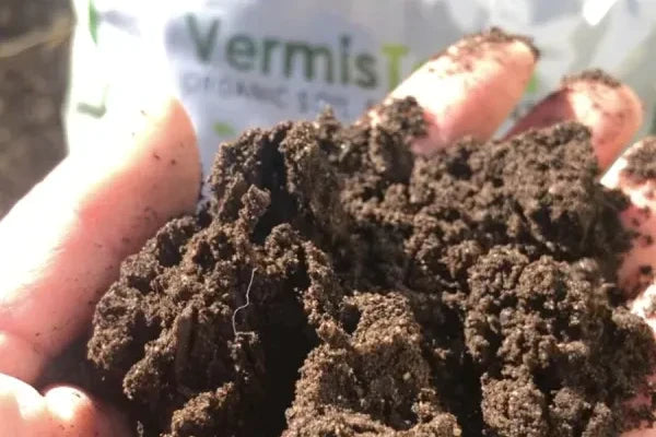 VermisTerris Mixed in Soil