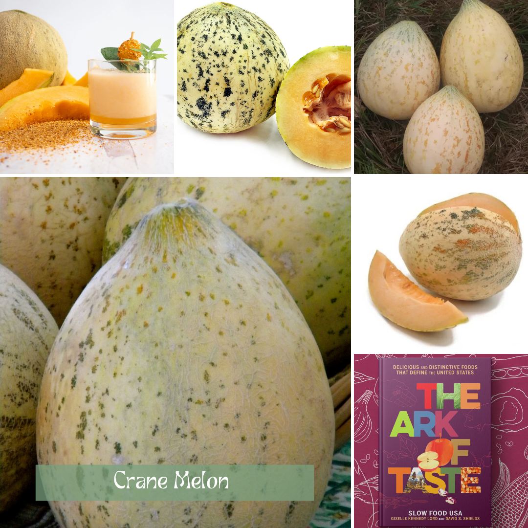 Ark of Taste Crane Melon - Seasonal Grow Kit