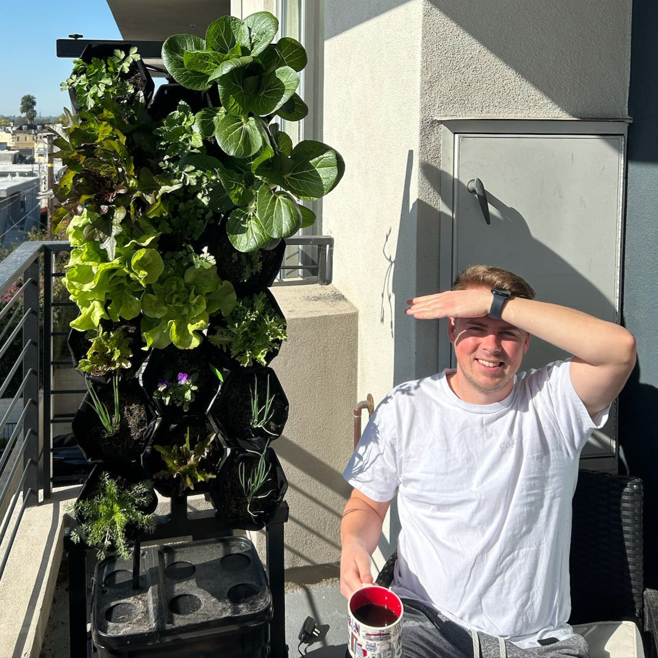 The Planted Wall