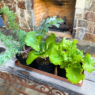 Copper Windowsill Planter Tray