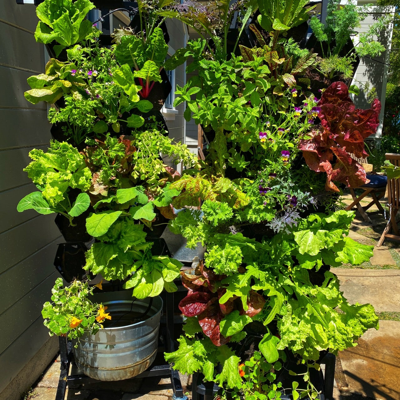 hydroponic plant wall Planted Wall Vertical Garden Structure with Recirculating Water System Double-Sided (36 edible plants)