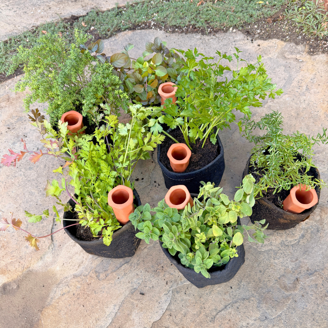 Mixology Herb Garden Kit