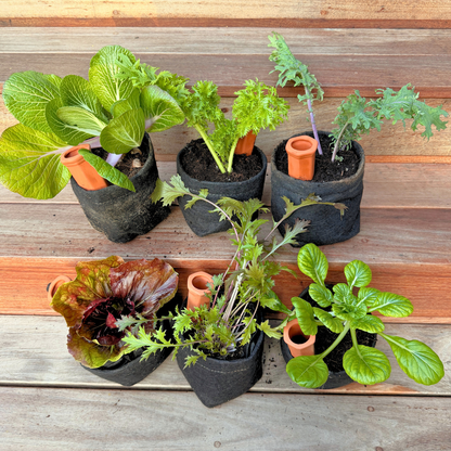 The Seasonal Garden Kit