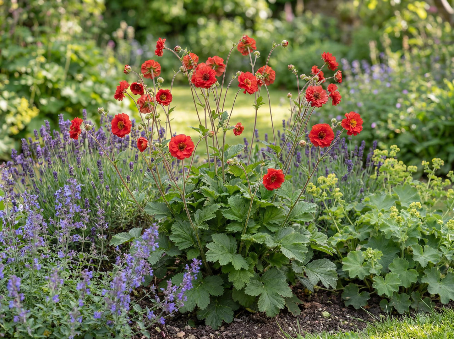 Double Bloody Mary Geum