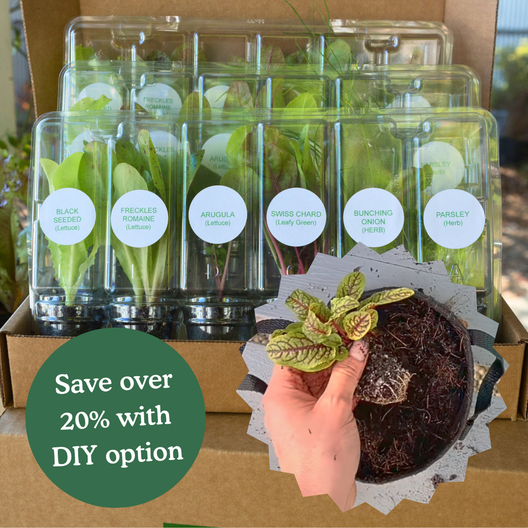 The Seasonal Garden Kit