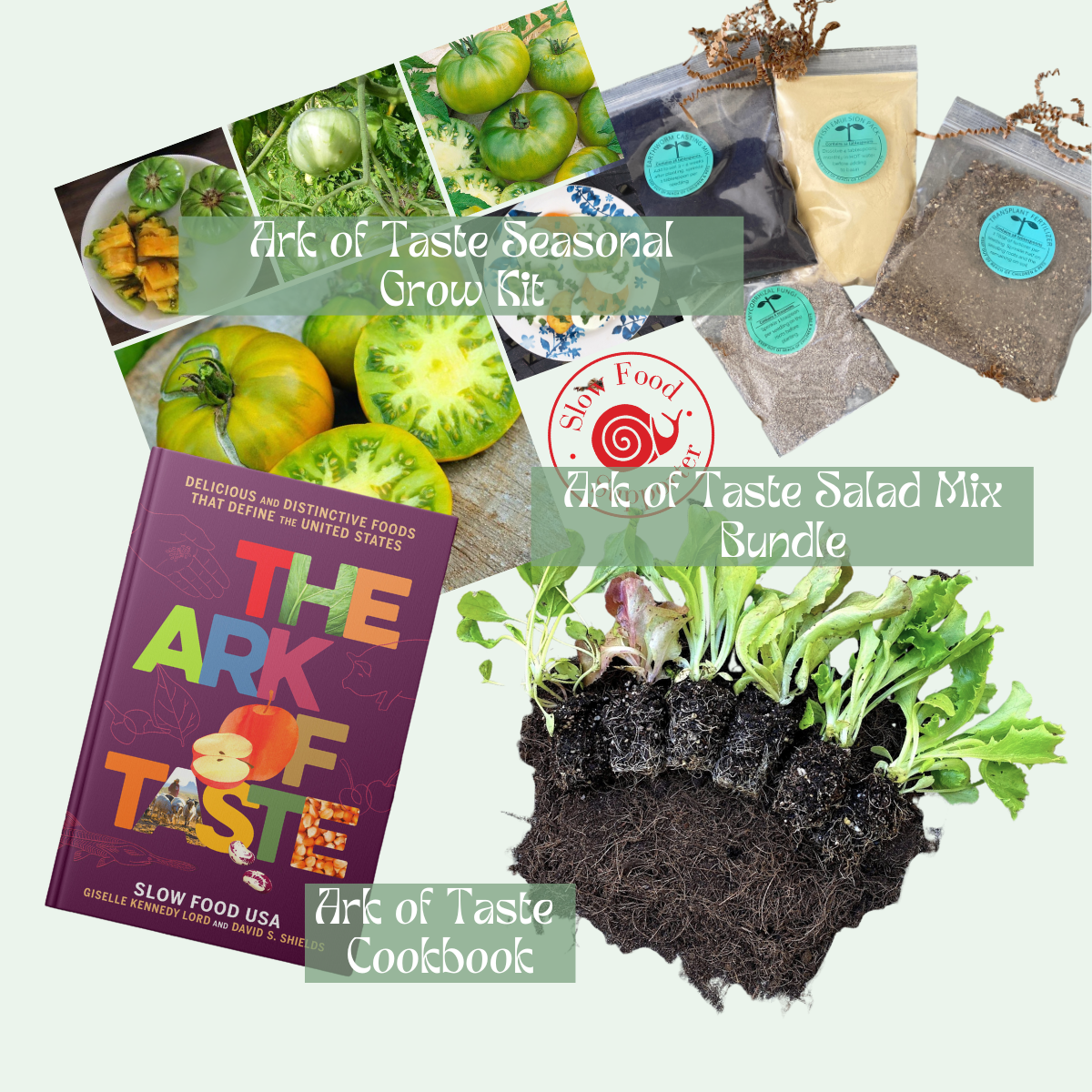 Ark of Taste Aunt Ruby's German Green Tomato - Seasonal Grow Kit + 6-Pack Lettuce + AOT Book