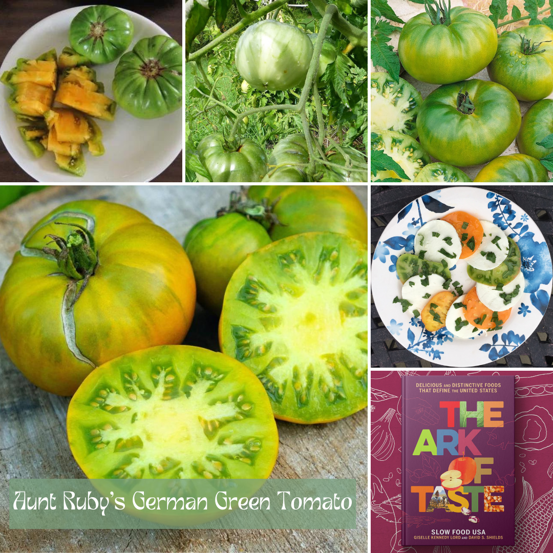 Ark of Taste Aunt Ruby's German Green Tomato - Seasonal Grow Kit