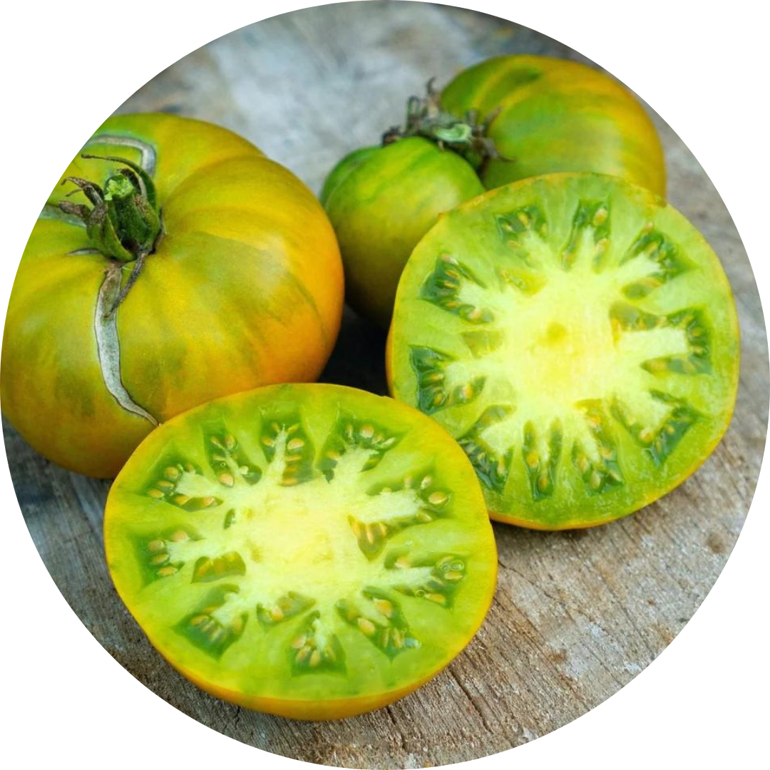Ark of Taste Aunt Ruby's German Green Tomato - Seasonal Grow Kit