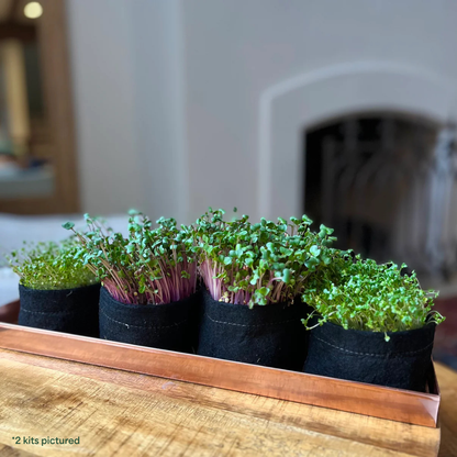 Indoor Superfood Bundle