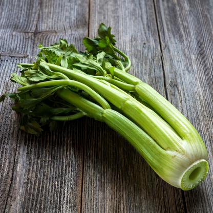 Tango Celery