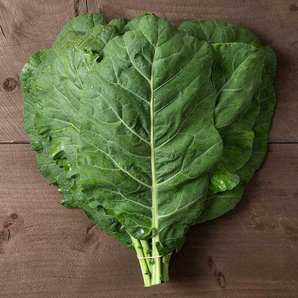 Champion Collard Greens showing the open, flat-laying leaf habit of this improved Vates selection