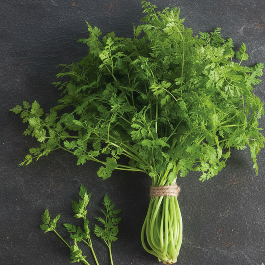 Chervil