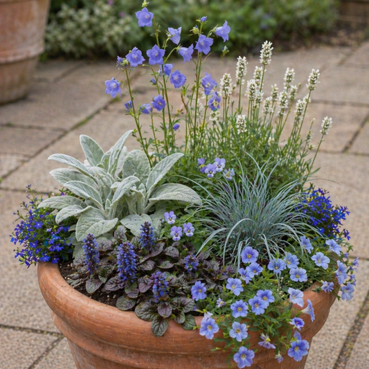 Cool Blue Monthly Floral Box