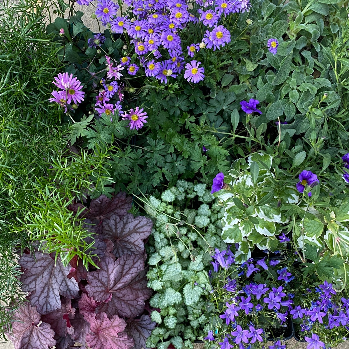 Cool Blue Monthly Floral Box