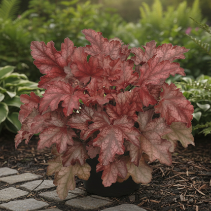 Fire Monthly Flower Box