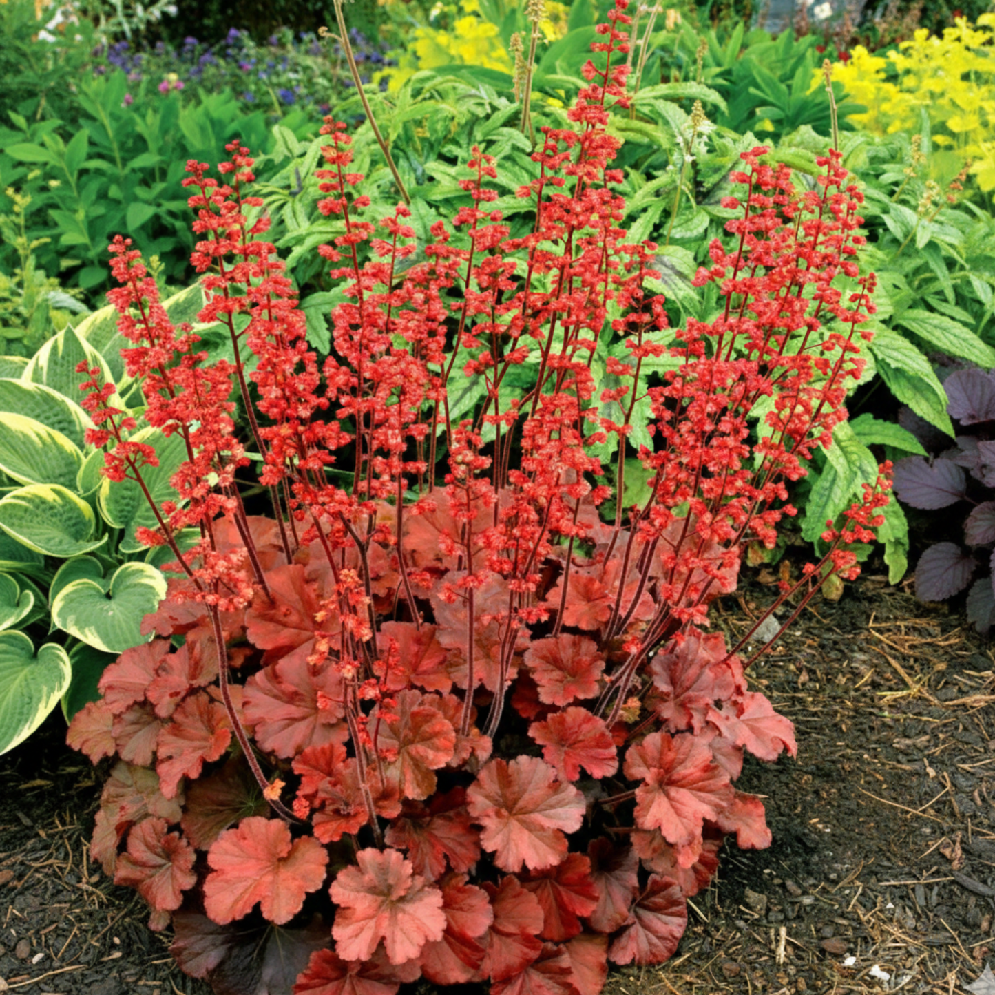 Fire Monthly Flower Box