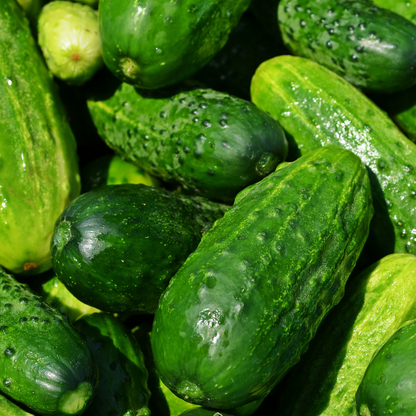 Marketmore Cucumbers