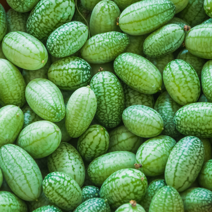 Mexican Sour Gherkin Cucumbers