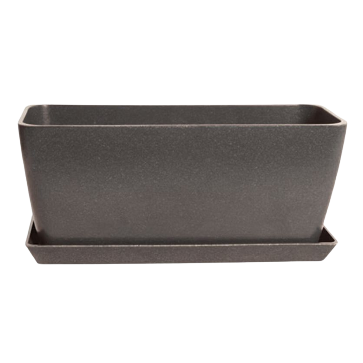 Winter Blooms Window Box Bundle