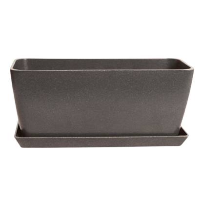 Winter Blooms Window Box Bundle