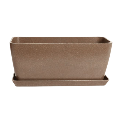 Winter Blooms Window Box Bundle