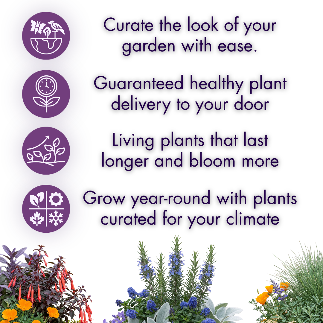 Simple icons with benefit statements: Curate the look of your garden with ease. Guaranteed healthy plant delivery to your door. Living plants that last longer and bloom more. Grow year-round with plants curated for your climate.