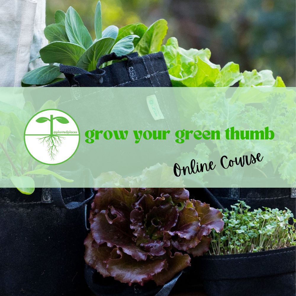 Grow Your Green Thumb Digital Course - Harvest to Table VIP Offer