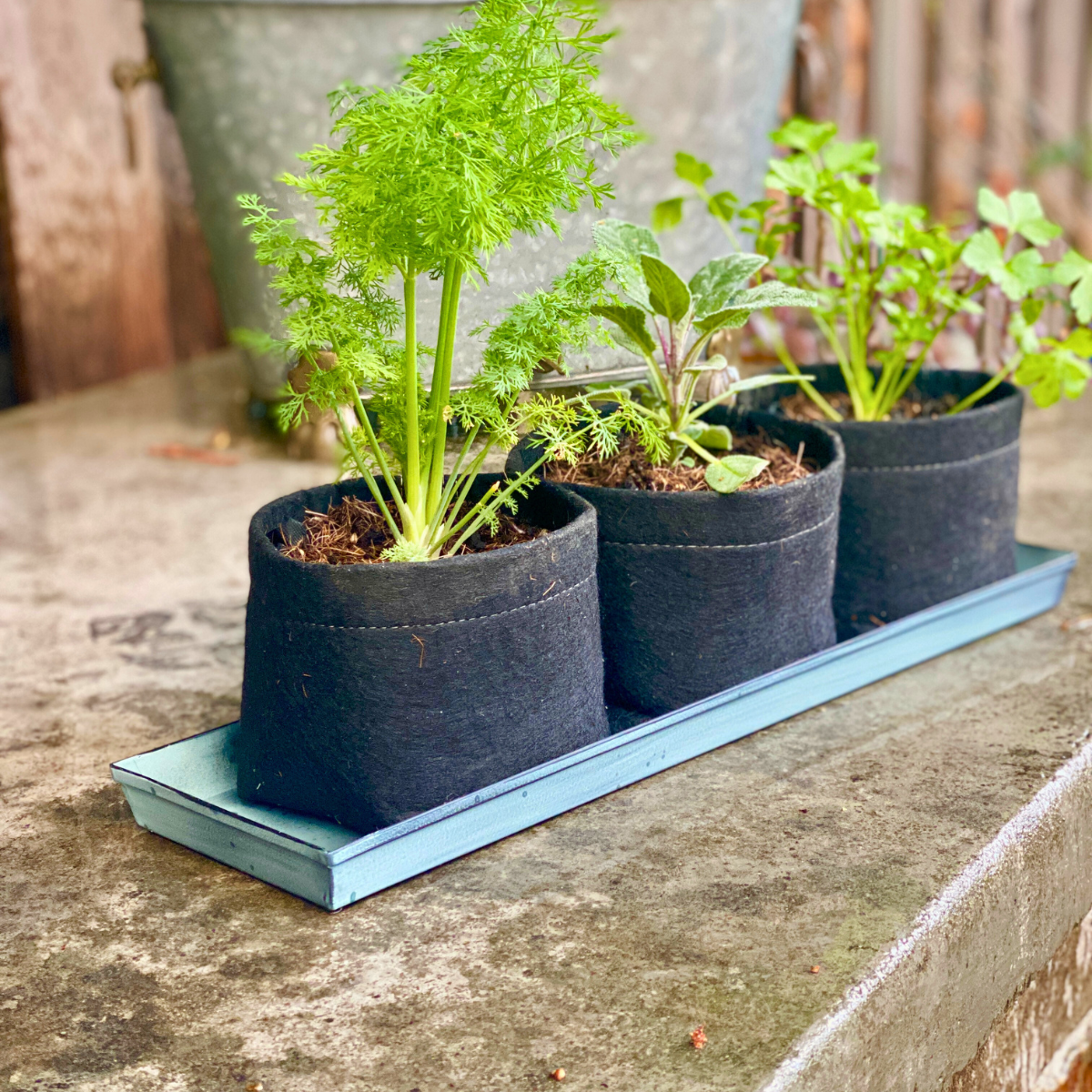Nantucket Blue Galvanized Steel Planter Tray