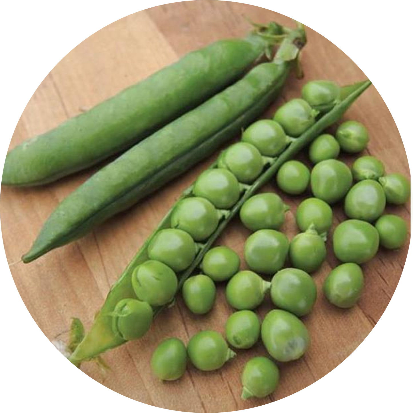 Green Arrow Pea