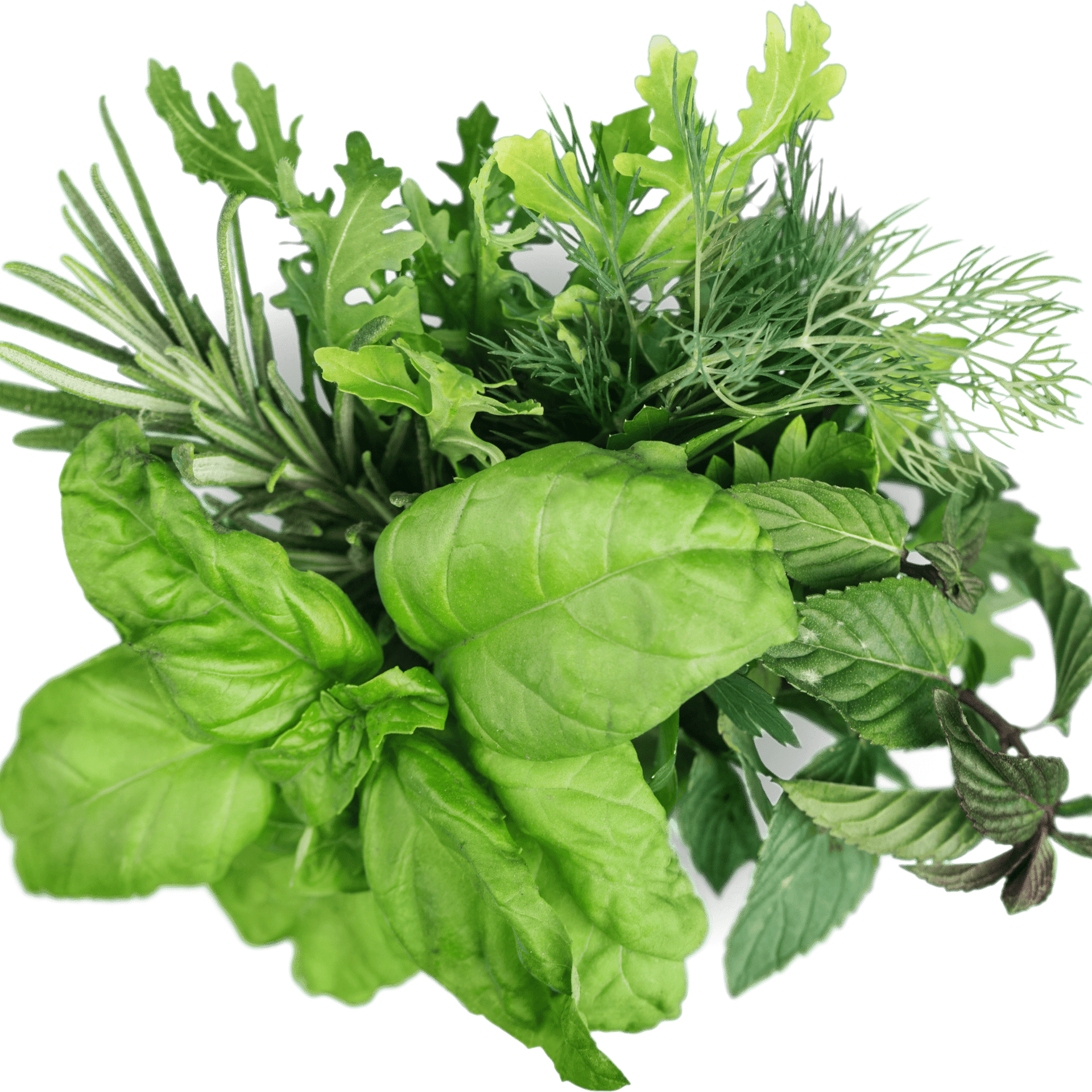 Organic Herb & Edible Floral Seedling...