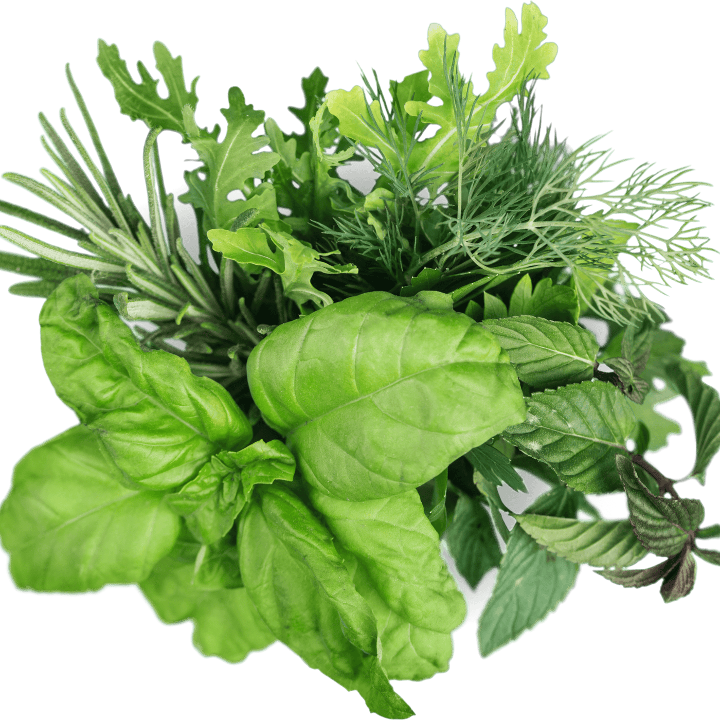 Herb & Edible Floral Bundle