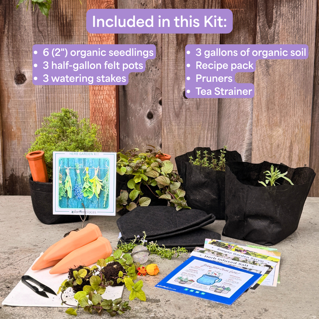 Organic Herb Garden Kit