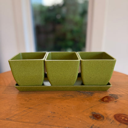 Eco-Pot Trio Box