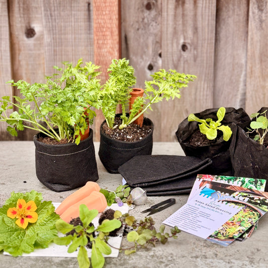 Edible Garden Gift Box - 3 month subscription