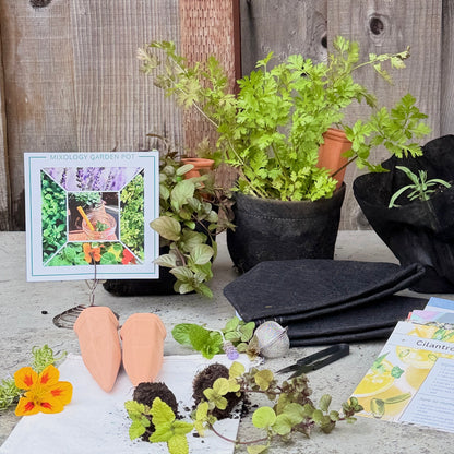 Mixology Herb Garden Kit