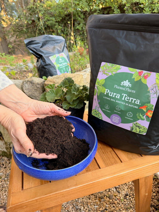 Pura Terra Soil