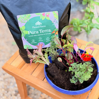 Pura Terra Soil