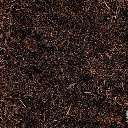 Pura Terra Soil