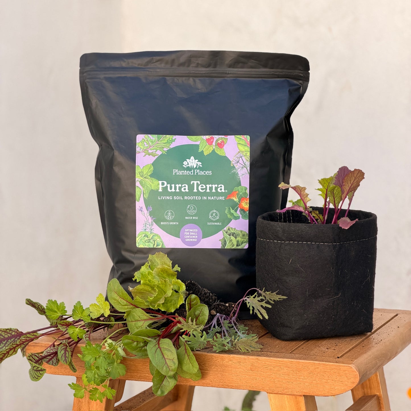 Pura Terra Soil