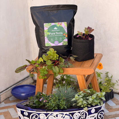 Pura Terra Soil
