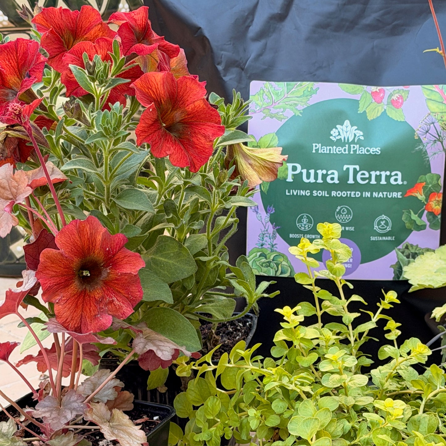 Fire Monthly Floral Box