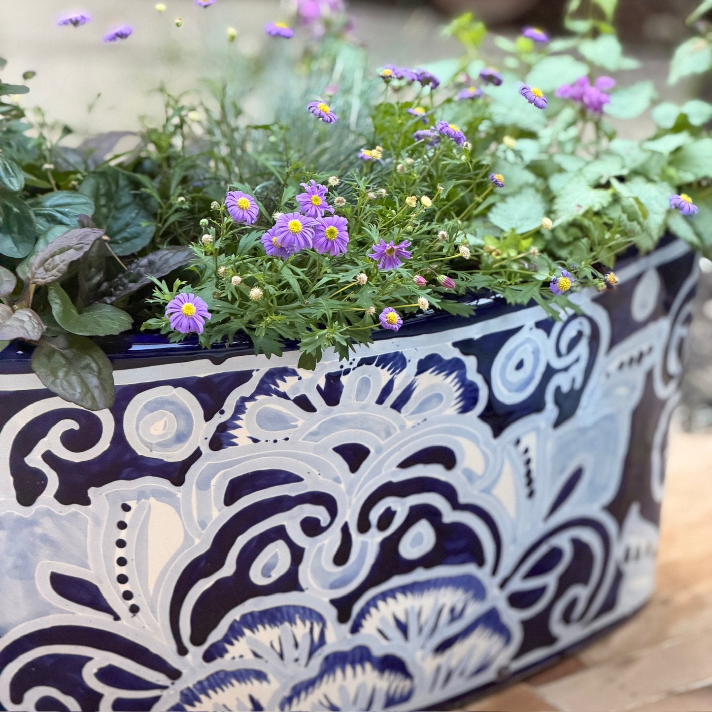 Cool Blue Monthly Floral Box