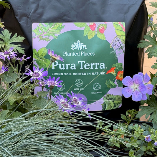 Cool Blue Monthly Floral Box