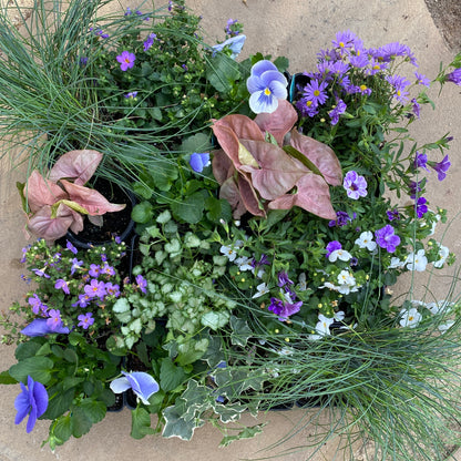 Cool Cottage Breeze Floral Collection