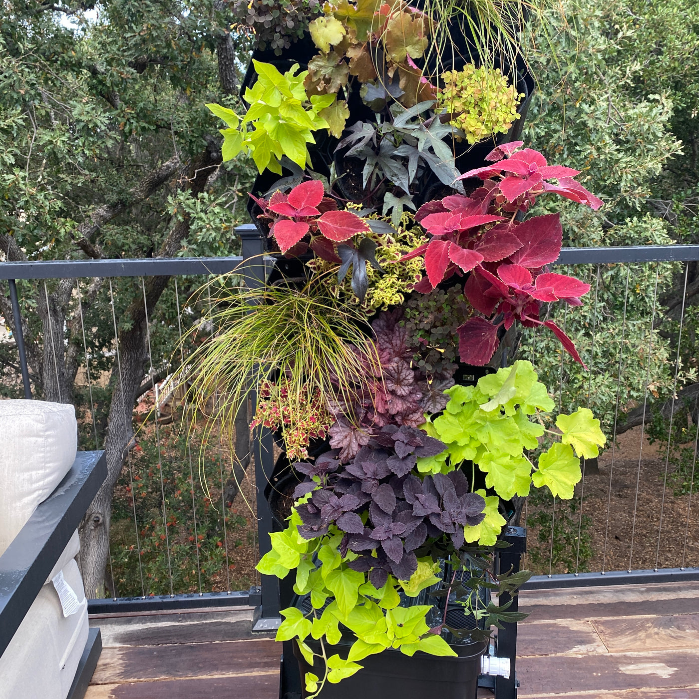 Fireside Planted Wall Bundle