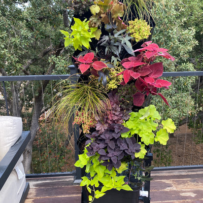 Fireside Planted Wall Bundle