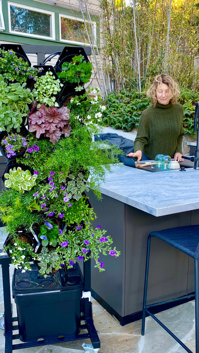 Refined Elegance Planted Wall Bundle