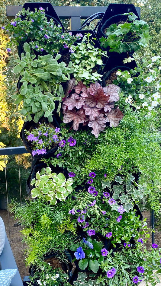 Winter Wonder Floral Collection