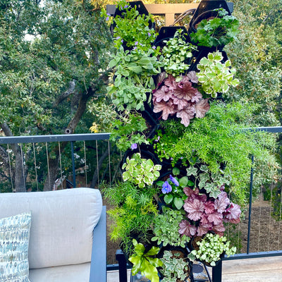 Winter Wonder Garden Wall Bundle